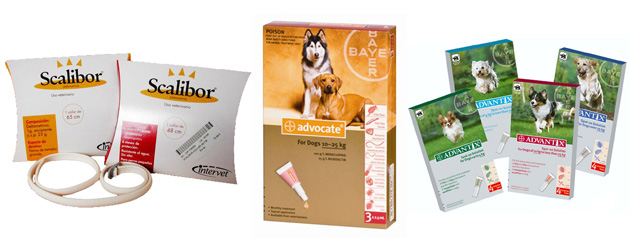 Piensos Royal Canin