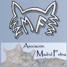 Madrid Felina