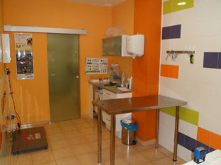 Medicina General